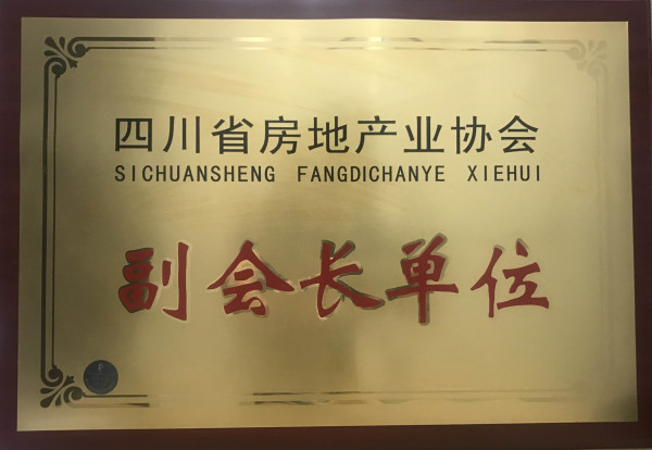 公司晉升為四川省房地產(chǎn)業(yè)協(xié)會(huì)副會(huì)長(zhǎng)單位